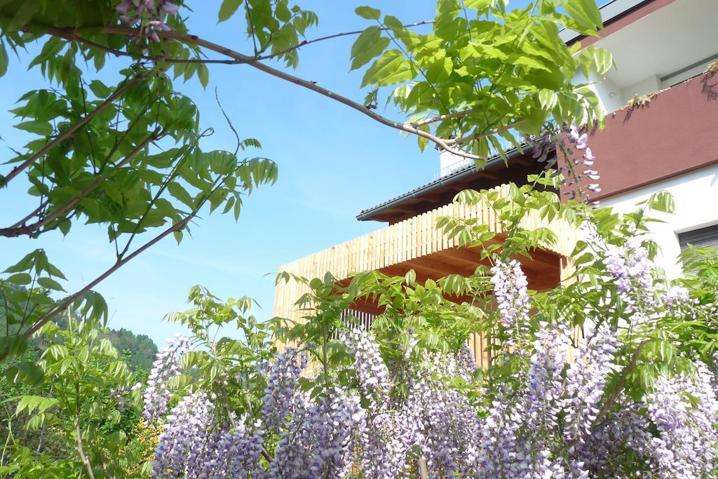 B&B Casa Sul Lago - Appartamenti Calceranica al Lago Exterior foto